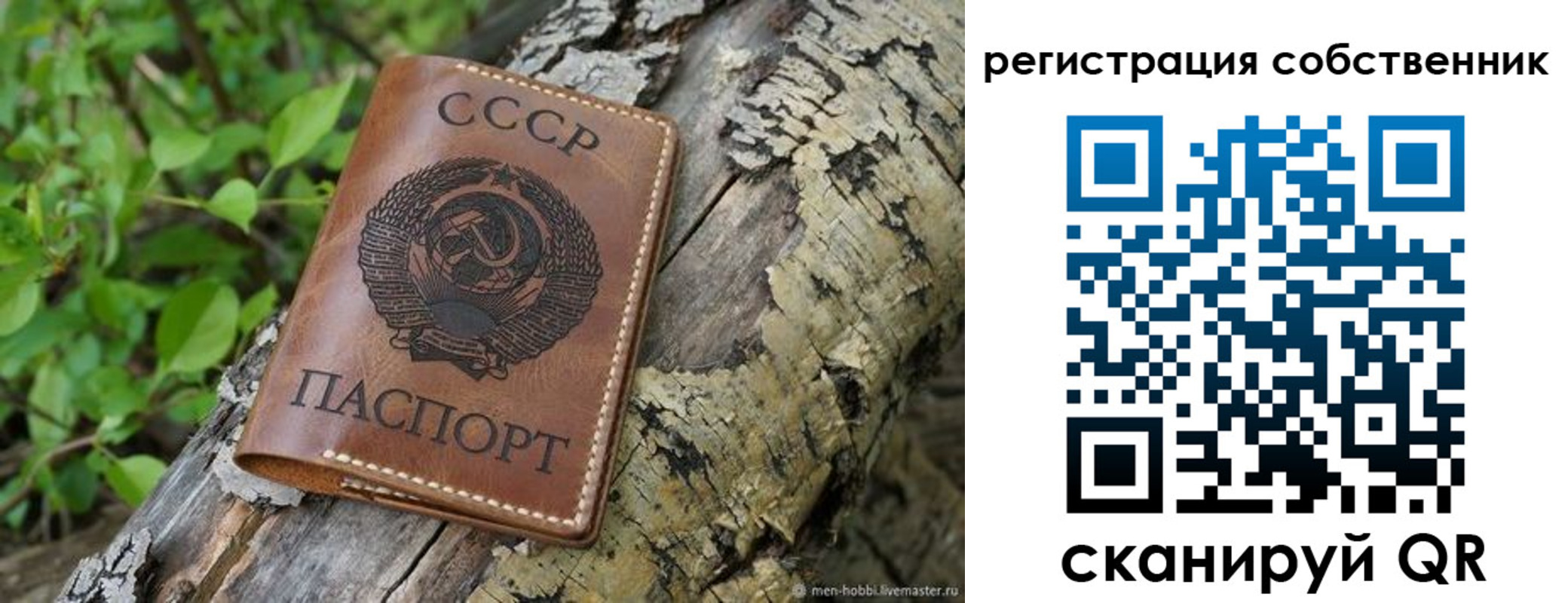 форма 3 в Осе